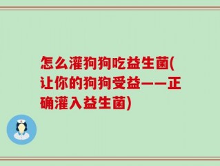 怎么灌狗狗吃益生菌(让你的狗狗受益——正确灌入益生菌)