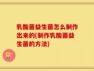 乳酸菌益生菌怎么制作出来的(制作乳酸菌益生菌的方法)