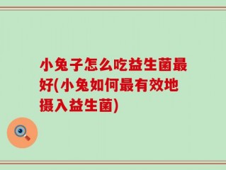 小兔子怎么吃益生菌最好(小兔如何最有效地摄入益生菌)