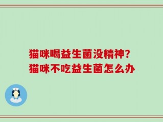 猫咪喝益生菌没精神？猫咪不吃益生菌怎么办