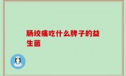 肠绞痛吃什么牌子的益生菌