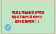 鸡怎么喂益生菌好呢视频(鸡的益生菌喂养法，这样做最有效！)