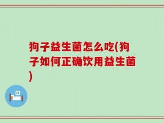 狗子益生菌怎么吃(狗子如何正确饮用益生菌)
