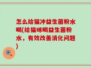 怎么给猫冲益生菌粉水喝(给猫咪喝益生菌粉水，有效改善消化问题)