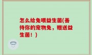 怎么给兔喂益生菌(善待你的宠物兔，赠送益生菌！)