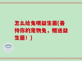 怎么给兔喂益生菌(善待你的宠物兔，赠送益生菌！)