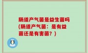 肠道产气菌是益生菌吗(肠道产气菌：是有益菌还是有害菌？)