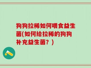 狗狗拉稀如何喂食益生菌(如何给拉稀的狗狗补充益生菌？)