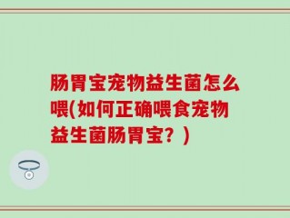 肠胃宝宠物益生菌怎么喂(如何正确喂食宠物益生菌肠胃宝？)