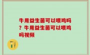 牛用益生菌可以喂鸡吗？牛用益生菌可以喂鸡吗视频