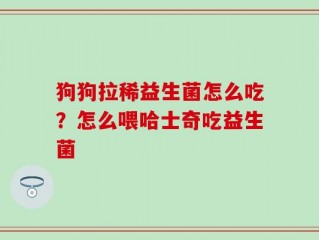 狗狗拉稀益生菌怎么吃？怎么喂哈士奇吃益生菌