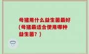母猪用什么益生菌最好(母猪最适合使用哪种益生菌？)