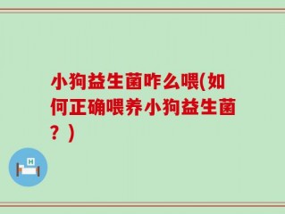 小狗益生菌咋么喂(如何正确喂养小狗益生菌？)