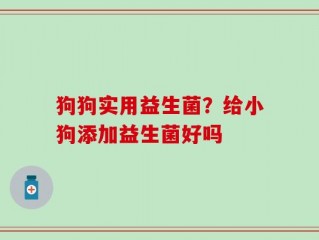 狗狗实用益生菌？给小狗添加益生菌好吗