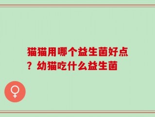 猫猫用哪个益生菌好点？幼猫吃什么益生菌
