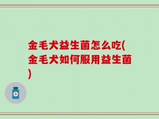 金毛犬益生菌怎么吃(金毛犬如何服用益生菌)