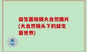 益生菌拍摄大自然图片(大自然镜头下的益生菌世界)