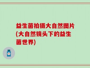 益生菌拍摄大自然图片(大自然镜头下的益生菌世界)