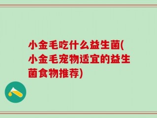 小金毛吃什么益生菌(小金毛宠物适宜的益生菌食物推荐)