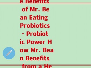 和憨豆吃益生菌(The Benefits of Mr. Bean Eating Probiotics - Probiotic Power How Mr. Bean Benefits from a Healthy Gut)