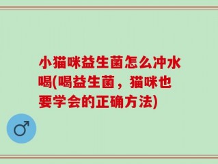 小猫咪益生菌怎么冲水喝(喝益生菌，猫咪也要学会的正确方法)