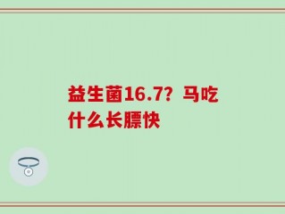 益生菌16.7？马吃什么长膘快
