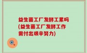 益生菌工厂发酵工累吗(益生菌工厂发酵工作需付出艰辛努力)