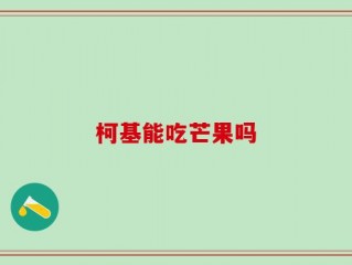 柯基能吃芒果吗