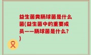 益生菌粪肠球菌是什么菌(益生菌中的重要成员——肠球菌是什么？)