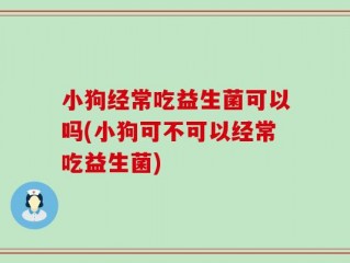 小狗经常吃益生菌可以吗(小狗可不可以经常吃益生菌)