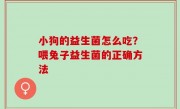 小狗的益生菌怎么吃？喂兔子益生菌的正确方法