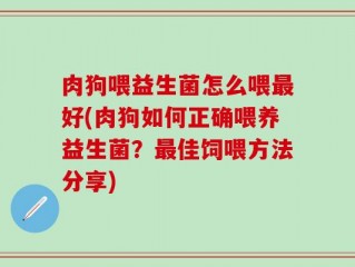 肉狗喂益生菌怎么喂最好(肉狗如何正确喂养益生菌？最佳饲喂方法分享)