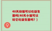 40天幼猫可以吃益生菌吗(40天小猫可以给它吃益生菌吗？)
