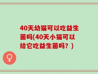 40天幼猫可以吃益生菌吗(40天小猫可以给它吃益生菌吗？)