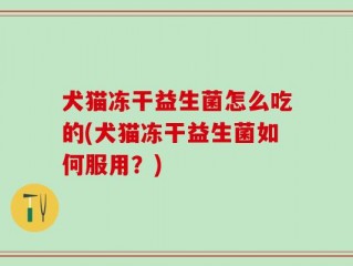 犬猫冻干益生菌怎么吃的(犬猫冻干益生菌如何服用？)