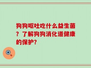 狗狗呕吐吃什么益生菌？了解狗狗消化道健康的保护？