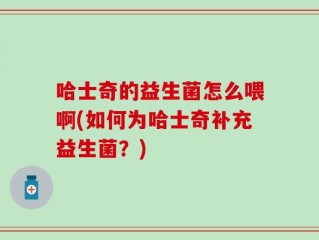 哈士奇的益生菌怎么喂啊(如何为哈士奇补充益生菌？)
