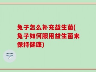兔子怎么补充益生菌(兔子如何服用益生菌来保持健康)