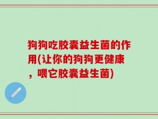 狗狗吃胶囊益生菌的作用(让你的狗狗更健康，喂它胶囊益生菌)