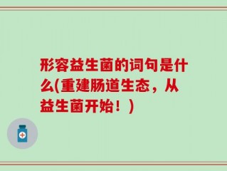 形容益生菌的词句是什么(重建肠道生态，从益生菌开始！)