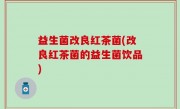 益生菌改良红茶菌(改良红茶菌的益生菌饮品)