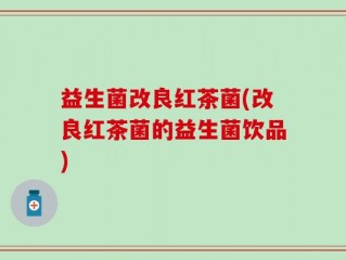 益生菌改良红茶菌(改良红茶菌的益生菌饮品)