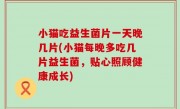 小猫吃益生菌片一天晚几片(小猫每晚多吃几片益生菌，贴心照顾健康成长)