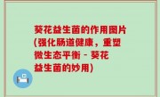 葵花益生菌的作用图片(强化肠道健康，重塑微生态平衡 - 葵花益生菌的妙用)