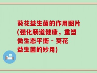葵花益生菌的作用图片(强化肠道健康，重塑微生态平衡 - 葵花益生菌的妙用)