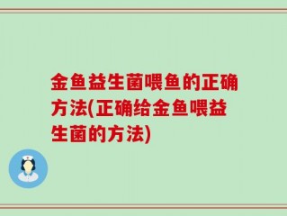 金鱼益生菌喂鱼的正确方法(正确给金鱼喂益生菌的方法)