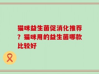 猫咪益生菌促消化推荐？猫咪用的益生菌哪款比较好