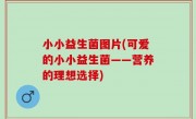 小小益生菌图片(可爱的小小益生菌——营养的理想选择)