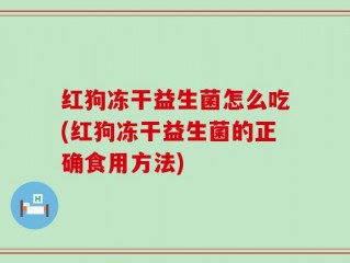 红狗冻干益生菌怎么吃(红狗冻干益生菌的正确食用方法)