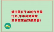 益生菌在牛羊的作用是什么(牛羊身体受益 生食益生菌效果显著)
